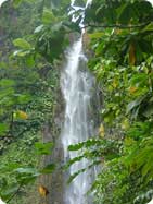 Cascade de Guadeloupe